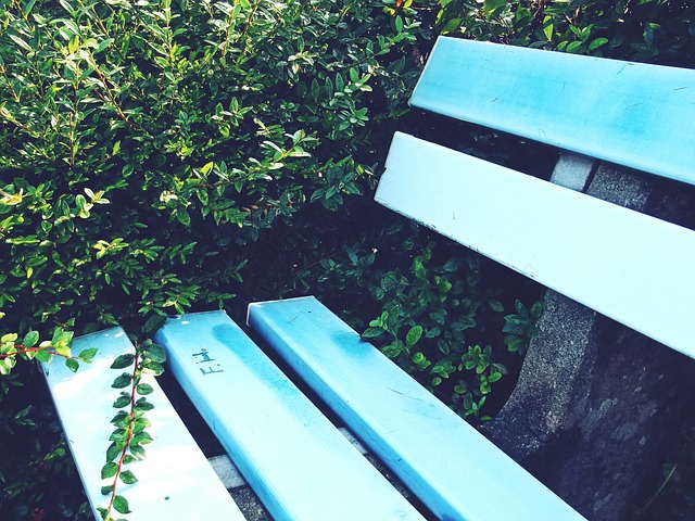 才是真正能 才是真正能