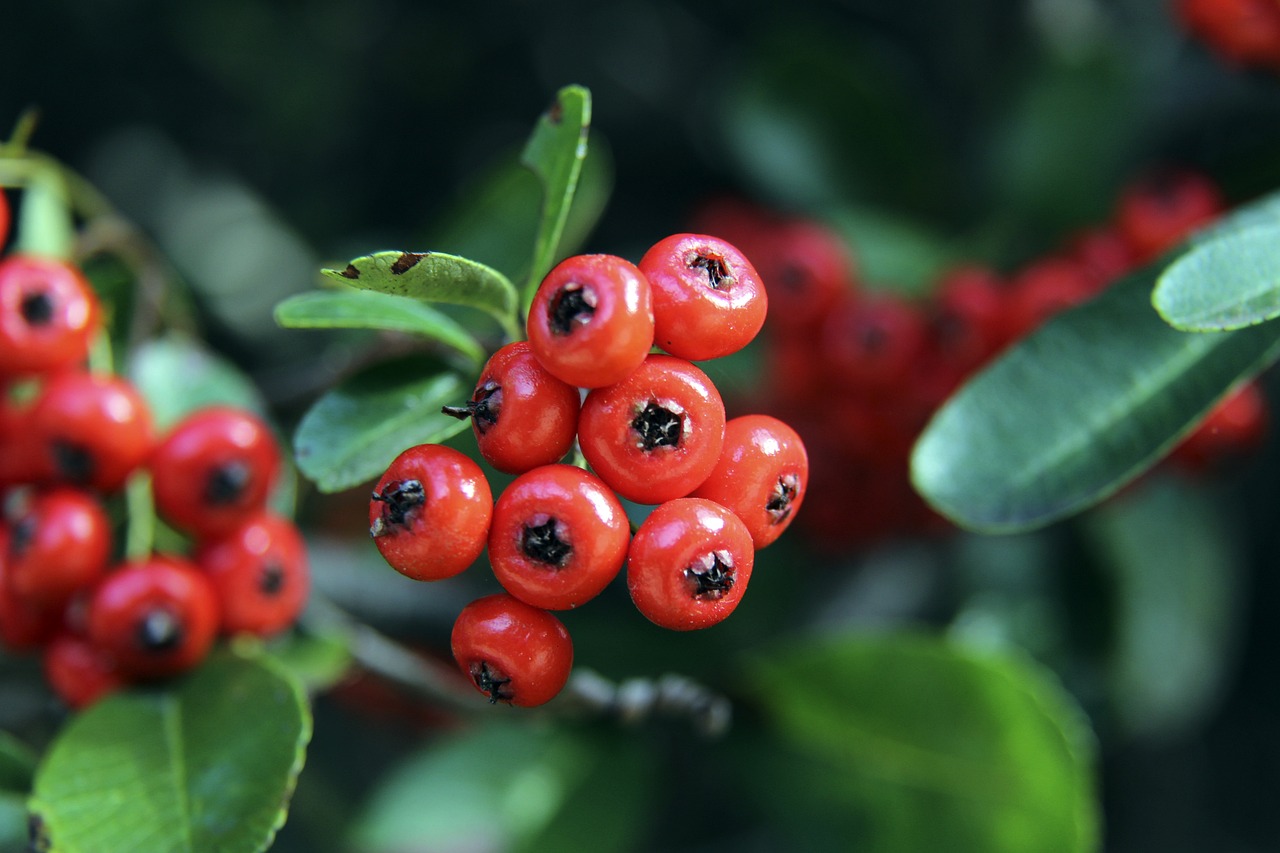 经济发展的 经济发展的