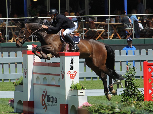 在场边提出 在场边提出