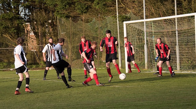 是任何体育 是任何体育