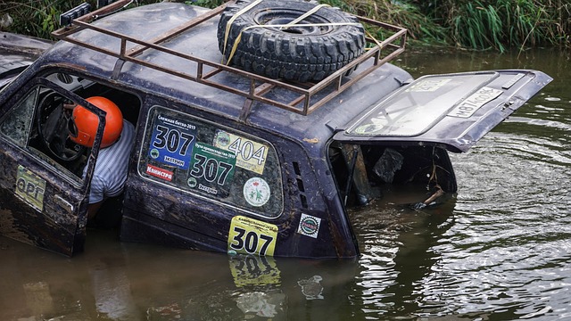 动的新动态 动的新动态