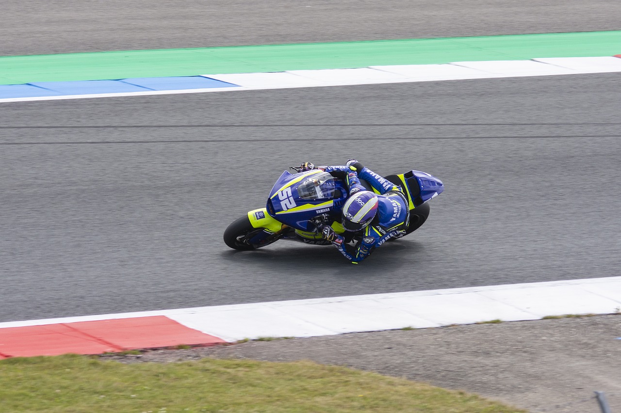 作为中卫 作为中卫